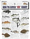 How to Catch 'Em Saltwater Fish Identification #2 - Waterproof Quick Reference Guide | Portable & Built to Last | Double-Sided & Easy to Read | (North Atlantic, Maine to The Carolinas)