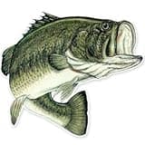 Largemouth Bass Fishing Fish Vinyl Sticker - Car Phone Helmet - Select Size