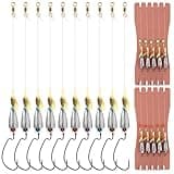 10 Pcs Texas Rig Fishing Kit, Fishing Texas Rigs Ready Kit Pre Rigged Texas Rigs with Weight Hook Rigged Line for Saltwater Freshwater Bass Fishing