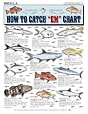 How to Catch 'Em Saltwater Fish Identification #1 - Waterproof Quick Reference Guide | Portable & Built to Last | Double-Sided & Easy to Read | (South Atlantic, Gulf of Mexico, Bahamas, and Caribbean)