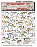 Freshwater Fish Identification Chart #8 (US, Canada, and Alaska) - Waterproof Quick Reference Guide | Portable & Built to Last | Double-Sided & Easy to Read | Includes Size and Food Quality