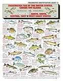 Freshwater Fish Identification Chart #8 (US, Canada, and Alaska) - Waterproof Quick Reference Guide | Portable & Built to Last | Double-Sided & Easy to Read | Includes Size and Food Quality