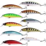 LURESMEOW Jerkbait Fishing Lures Jerk Baits for Bass Fishing Jerk Bait Minnow Lures with Tackle Box for Freshwater Saltwater,10pcs