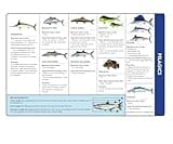 Florida Saltwater Fishing Guide. 100% Waterproof Fish Identification Book with 12 Pages, FWC Rules, Limits, and Seasonal Regulations, 70+ Fish and Shark Photos, Angler and Fisherman Chart