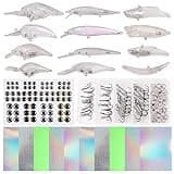 OROOTL Fishing Lure Making Kit, 166pcs DIY Fishing Lure Making Supplies Unpainted Fishing Lure Blanks Eyes Stickers Treble Hooks Make Your Own Fishing Lures