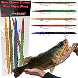 Delong Lures - 8" Bass Witch Pre Rigged Weedless Soft Plastic Worm Bait Segmented Fishing Gear for Largemouth and Smallmouth Bass Freshwater Fishing Lure Scented Lifelike Fish Tackle(Variety 5 Pack)