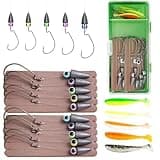 10 PCs Texas Rig Kit for Bass Crappie Fishing Leaders with Weights Hooks Rigged Line Kit, Texas Rigs with Tackle Box and 5pcs Paddle Tail Lures, 3/16oz-4pcs, 1/4oz-4pcs, 3/8oz-2pcs, Assorted