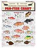 Pan-Fish Identification #7 (Saltwater & Freshwater) - Waterproof Quick Reference Guide | Portable & Built to Last | Double-Sided & Easy to Read | Includes Average Weight & Cooking Recipes