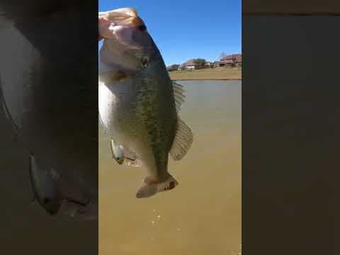 Can I use fluorocarbon nylon line on both baitcaster and spinning reel rods?