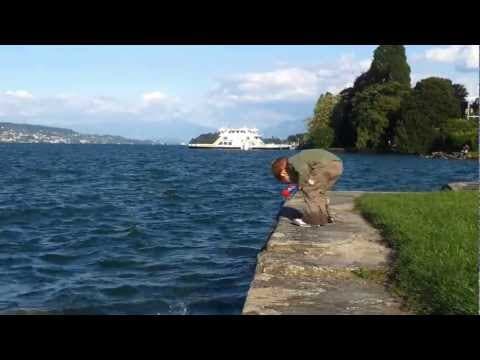 Is Wollishofen good for fishing at the Zürichsee?