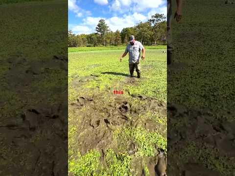 Where are the fish in Mud Lake, LA?