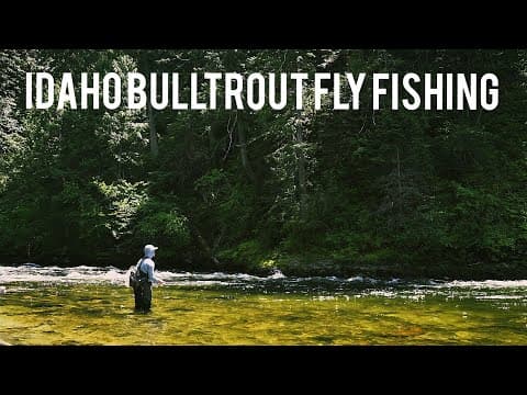 Where is the best spot within 30 minutes of downtown Boise to catch bull trout fly fishing?