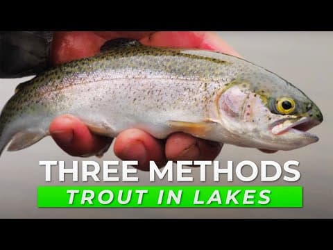 What are some trout fishing tips for lakes in Europe?