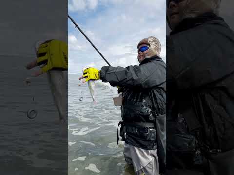 What is the best rod and reel combo for shark fishing in Margate/Longport NJ, including the full rig setup?