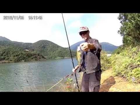 What rigs should I use when fishing in Tai Tam Reservoir?