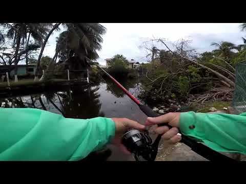 How to fish for tarpon in Belize?