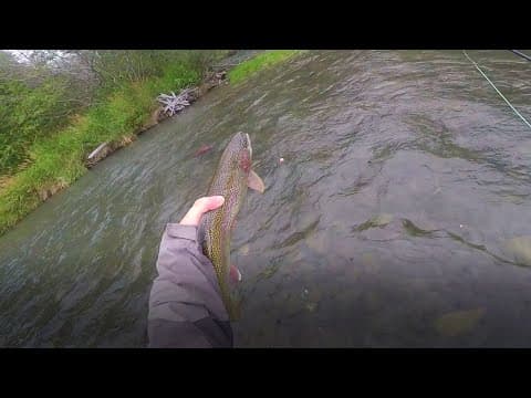 What are the top 4 Bead Head Nymphs for rainbow trout on the Kenai River in August, including size and color?