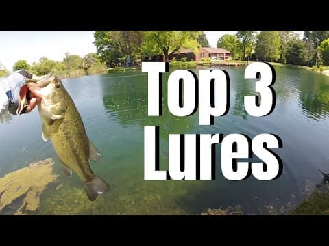 What should I use in a farm pond on a rainy day in Tennessee to catch a giant bass?