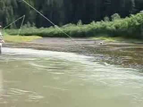 What is the best size and color for a Bead Head Nymph for Kenai Dolly Varden in August?