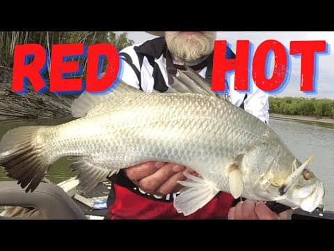 How can I catch barramundi at Shoal Bay on Sunday?