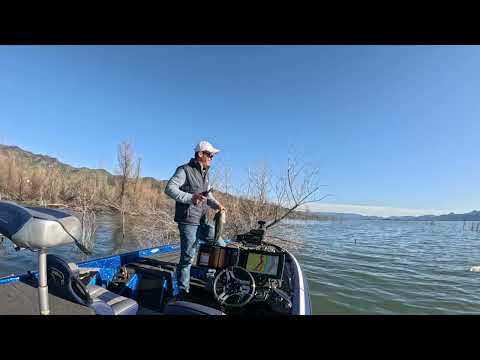 Where are the best spots at Lake Berryessa for largemouth bass?