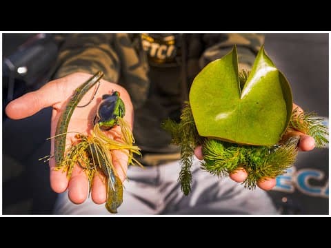 What lures should I use for a small lake with lots of vegetation?