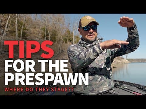 How do I catch smallmouth instead of largemouth or spotted bass during the pre-spawn phase?