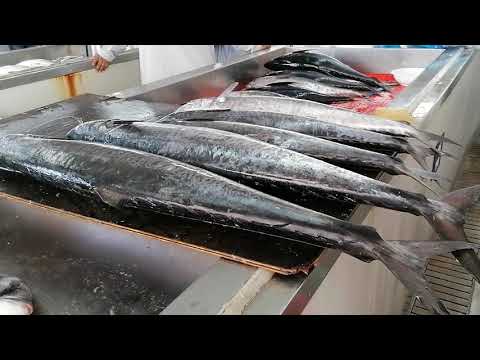 What are the high-value fish in Muscat?