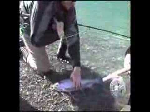 What specific fly fishing flies should be your focus in August for Kenai rainbow trout?