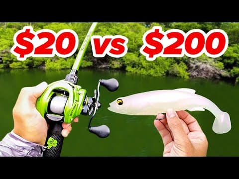 What is the best soft plastic swimbait under $20 for bass fishing?