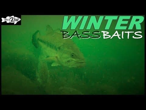 The bass are not biting and they are completely invisible. It's winter. How can I catch one?