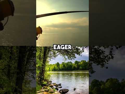 What are the best lakes, ponds, and rivers to fish near Towson?