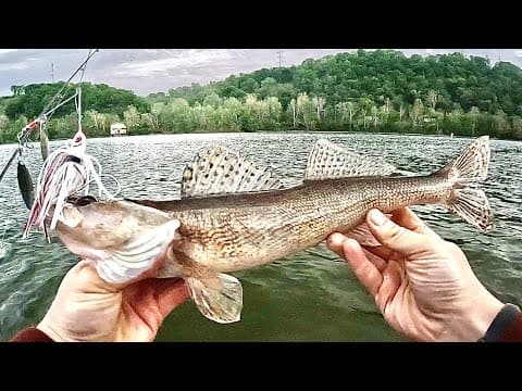 Where is the best place to fish in Pittsburgh?