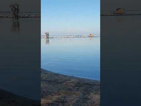 Can you give me info about fishing in Bordeaux, France, specifically beach fishing in Biscarrosse-Plage?