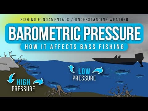 Do Australian salmon like the rain, and what pressure and pressure change do they like?