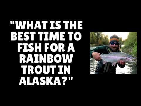 What are the best flies, include size and color, for Kenai rainbow trout in August?
