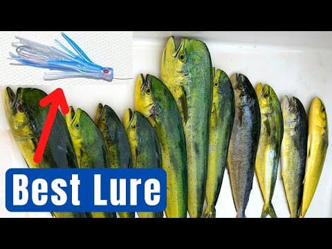 What PE line would you recommend for Mahi Mahi?