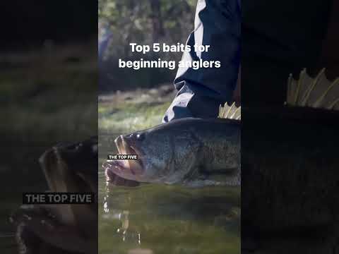 What are the top Berkley fishing lures for bass?