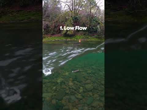 What are the best fishing spots on the Squamish River?