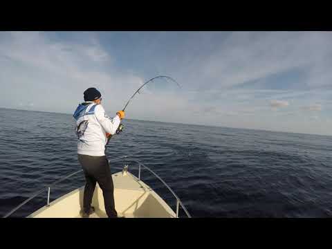What are the best shore jigging spots in Ancona?