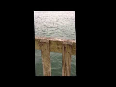 How can I effectively fish for stripers in Beverly, MA?