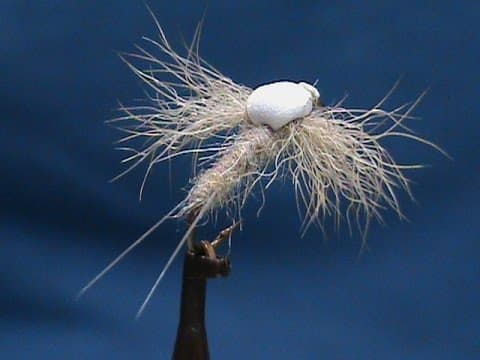 Is there a sweet spot single size and color for a Copper John Nymph on the Kenai River in August?
