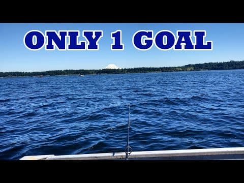 Where are the salmon now in Grays Harbor?