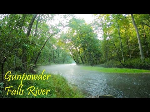 What fish can I catch in Gunpowder Falls?