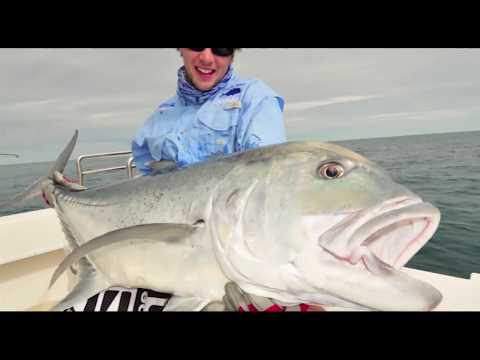 I want to catch a GT. What should I look for?