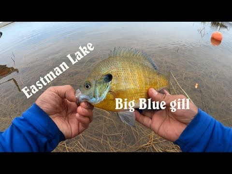 What is the best technique when fishing for largemouth bass at Eastman Lake CA?