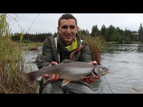 Is there a sweet spot single size and color for a BWO on the Kenai River in August?