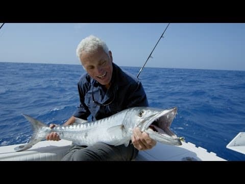 What is the best way to catch barracuda?