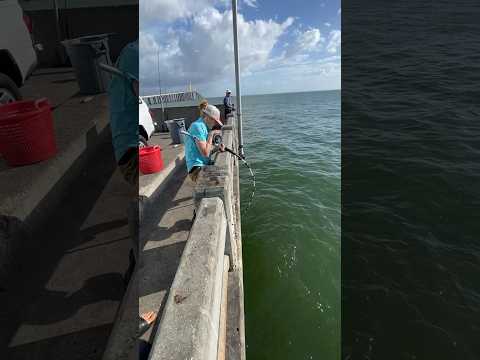 What lures should I use when fishing for grouper off the rocks and piers?