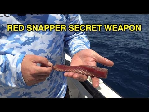 Where to catch red snappers?